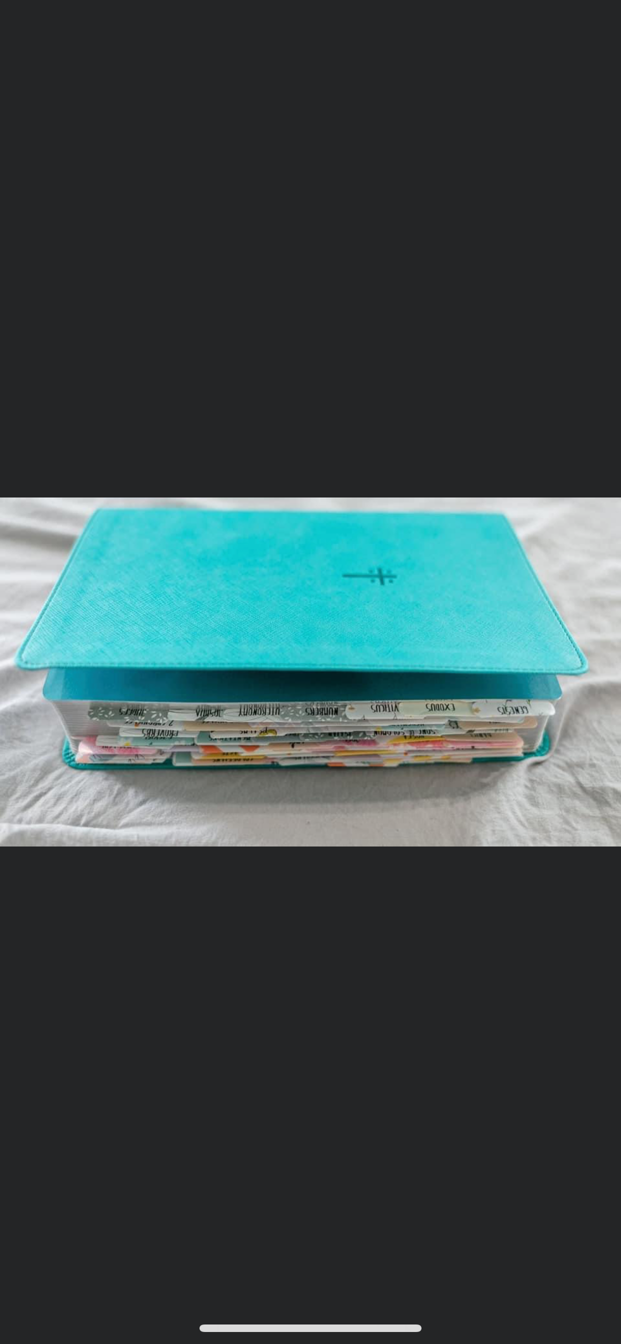 Bible Tabs